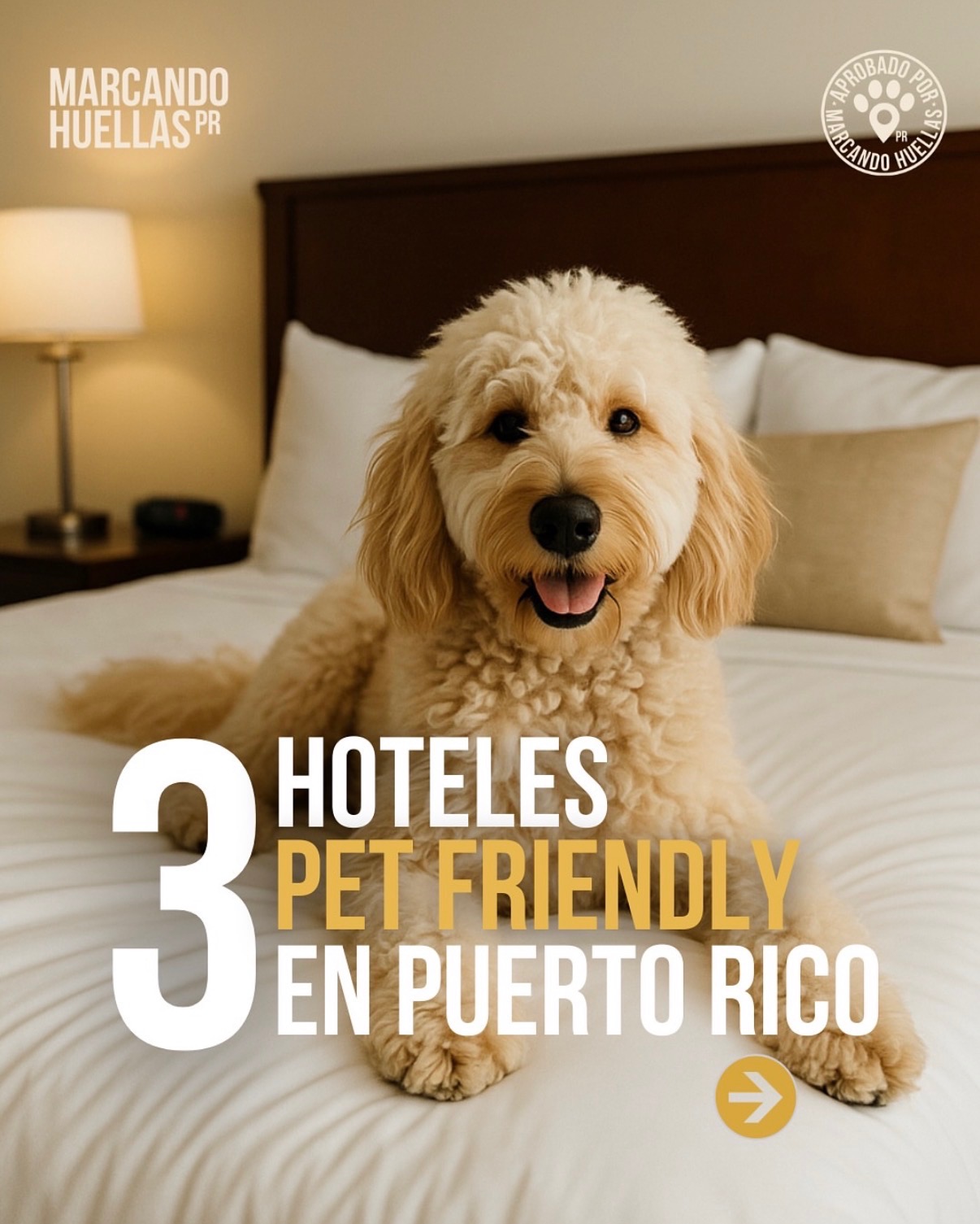 3 hoteles pet friendly en Puerto Rico